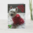 Search for westie mom cards Dog