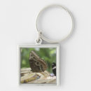 Search for selected square key rings Outdoors