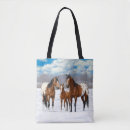 Search for foal bags Mare and foal