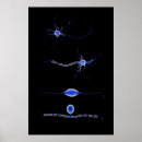 Search for neuron posters Science