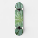 Search for four skateboards Close up