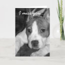 Search for akc cards Terrier
