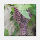 Search for grape vines magnets Leaves