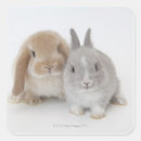 Search for lops stickers Animal