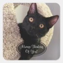 Search for cat thinking stickers Animal