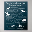 Search for kelpie posters Horses