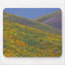 Search for angeles mousepads Flower