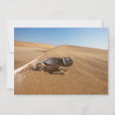 Search for namibia cards Nature