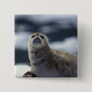Search for state of alaska badges Seal