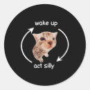 Search for silly cat stickers Kitten