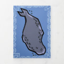 Search for seal cards Animals