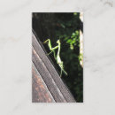 Search for prayed business cards Nature