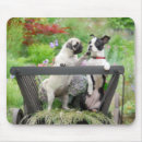 Search for funny friend mousepads Dog