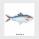 Search for haddock Cod