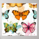 Search for tropical butterfly posters Floral