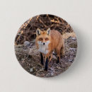 Search for fox badges Nature