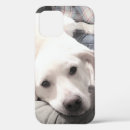 Search for tired iphone cases Lazy