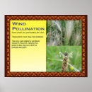 Search for plant posters Science