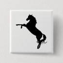 Search for arabian horse accessories Equine