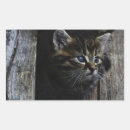Search for large eyes stickers Animals