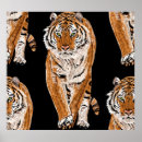 Search for bengals posters Black