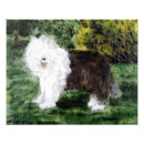 Search for sheepdogs posters Dog lover