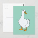 Search for white bird postcards Animal