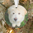 Search for mixed breed dog christmas tree decorations Goldendoodle