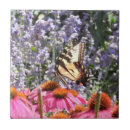 Search for echinacea tiles Floral