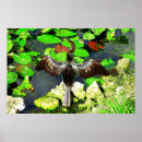 Search for anhinga Florida