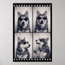 Search for husky posters Black and white