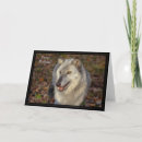 Search for wolf birthday cards Nature