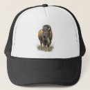 Search for bison hats Wildlife