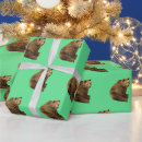 Search for grizzly wrapping paper Animals