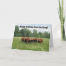 Search for group birthday cards All