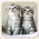 Search for bedroom barware Cat