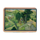 Search for wander magnets Indian