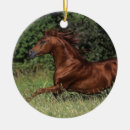 Search for stallionness christmas tree decorations Bob langrish