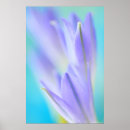 Search for flare posters Blue