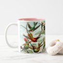 Search for haeckel mugs Nature