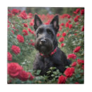 Search for scottish tiles Dog