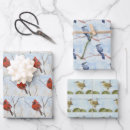 Search for songbird wrapping paper Red