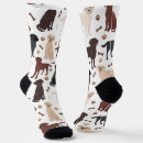 Search for labrador socks Black lab