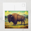 Search for yellowstone bison postcards Travel