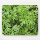 Search for tops mousepads Green