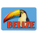 Search for belise magnets Vacation