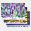 Search for motivational quotes wrapping paper Nature