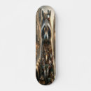 Search for racoon skateboards Raccoon
