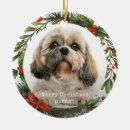 Search for vet tech christmas tree decorations Pets