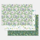 Search for opossum wrapping paper Animal